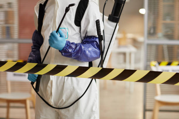 Professional Odor Removal technician working in Mason, TX